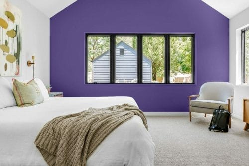 Violet Variations - Purple Infusion 2