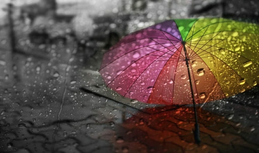 We answer the ultimate DIY question – “To paint or not to paint?” (when it is raining).